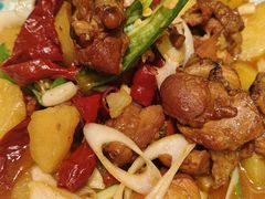 -巴依老爷新疆美食(常营店)