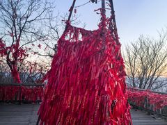 -帽儿山国家森林公园