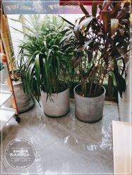 -尚艺造型.剪烫染.接发