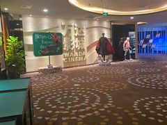 -万达影城(汉街万达广场IMAX店)