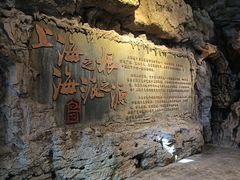 -华东政法大学(松江校区)