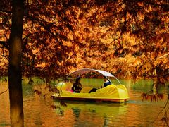 -上海海湾国家森林公园