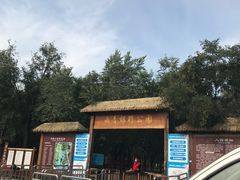 -西青郊野公园