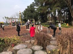 -铁山坪森林公园