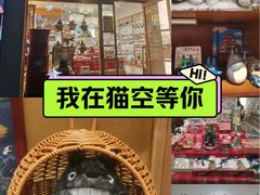 -猫的天空之城概念书店(大学路店)