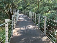 -广州市流溪河国家森林公园