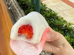 草莓糯米糍-澳门长洲糯米糍(柯打苏沙街店)