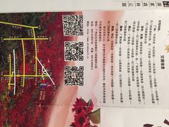 石门国家森林公园-广州市石门国家森林公园