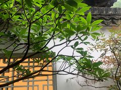 -兴福老面馆(寺路街店)