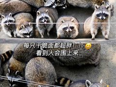-常州淹城野生动物世界
