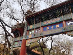 -北京国子监胡同
