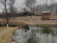 -西安浐灞国家湿地公园