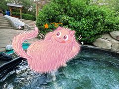 -仁爱团泊湖温泉中心