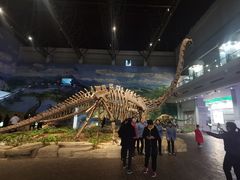 -自贡恐龙博物馆
