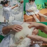 遇见萌宠，邂逅快乐