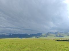 -新疆那拉提国家旅游度假区
