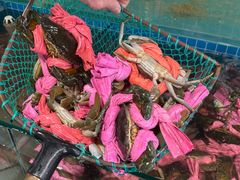 -辣螃铠盆盆蟹大排档(总店)