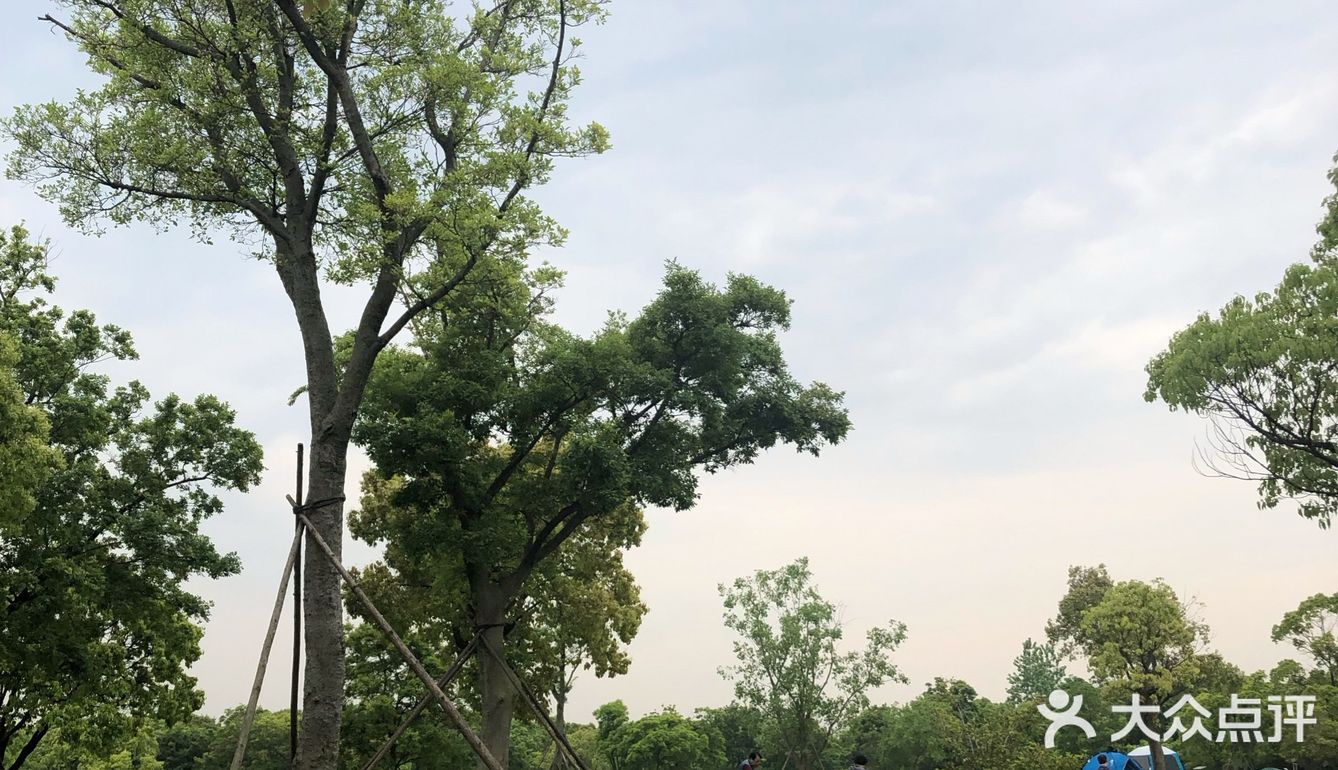 出示了绿色随申码和提前买的门票才入园