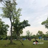 出示了绿色随申码和提前买的门票才入园