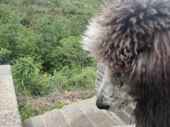 -东戴河风景区