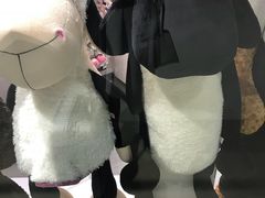 -哈尔滨太平国际机场