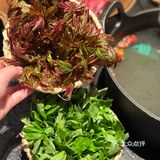 南京火锅已经next level了……