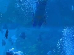 -左海海底世界