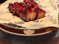 -大树餐厅(益田假日店)