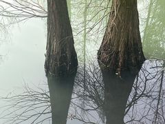 -兰亭风景区
