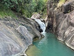 -广州白江湖森林公园