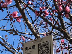 -丰台花园