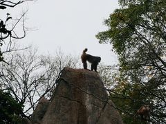 -广州动物园