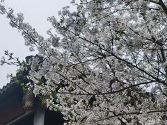 -兰亭风景区