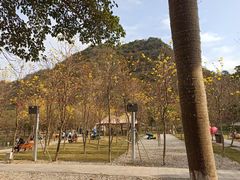 -星湖旅游景区七星岩