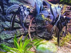 -上海海洋水族馆