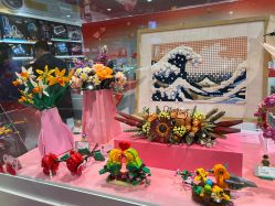 -乐高授权专卖店(万象城店)