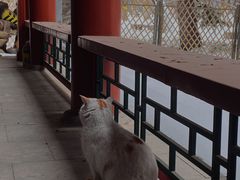 -宣武艺园