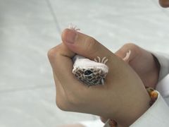 -达爱动物医院·犬猫分区·CT·复杂眼科(远洋山水分院)