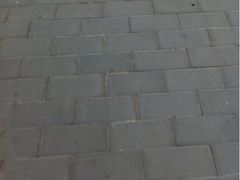 -乐琪宠物(青塔西路店)