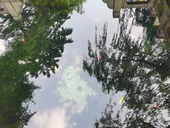 -趵突泉景区