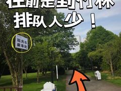 -橘子洲景区