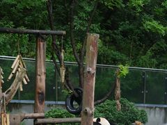 -黔灵山公园