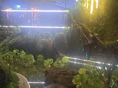 -耕渔小院·湖南鱼鲜(望城店)