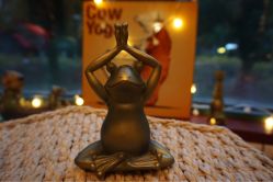 -Union瑜伽健康管理中心