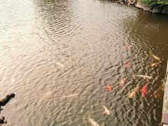 -轻井泽王子购物广场