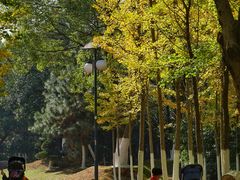 -艾溪湖湿地公园