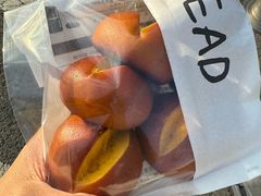 -面包日报