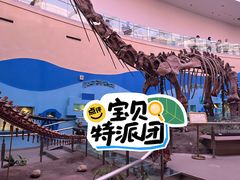 -陕西自然博物馆