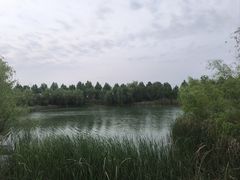 -南湖国家城市湿地公园