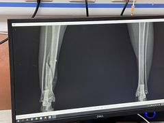 -宠颐生宠物医院·心肾内科·猫专科诊疗中心宠巢店